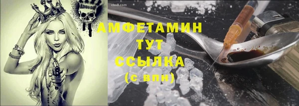 дживик Бородино