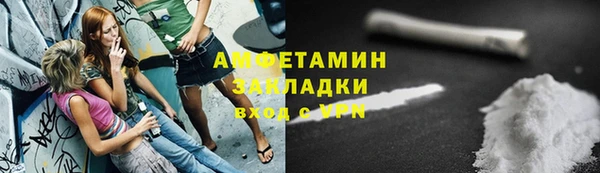 гидра Верхний Тагил