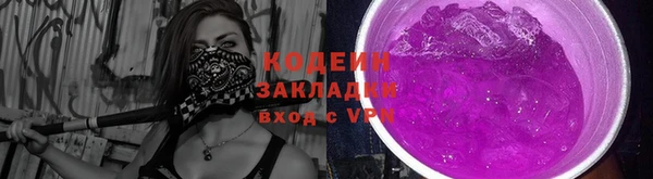 дживик Бородино