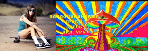 дживик Бородино