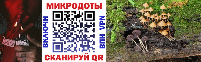 гидра как войти  Иланский  Галлюциногенные грибы Magic Shrooms  как найти закладки 