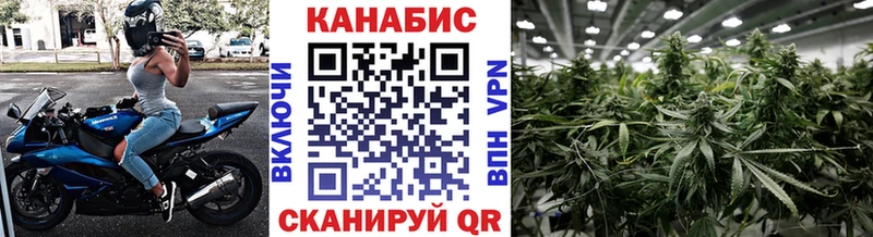 мориарти официальный сайт  цены наркотик  Иланский  Шишки марихуана сатива 